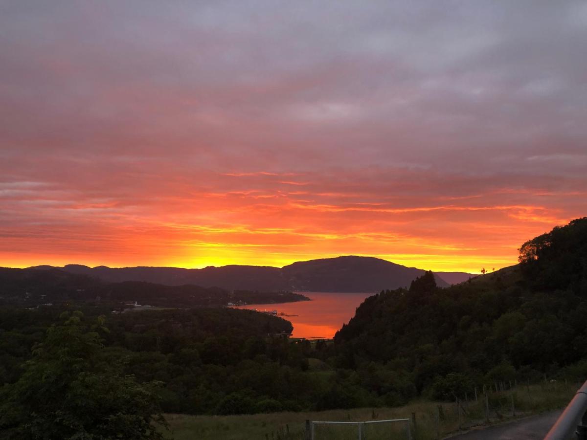 Fjord Road Daire Hjelmeland Dış mekan fotoğraf